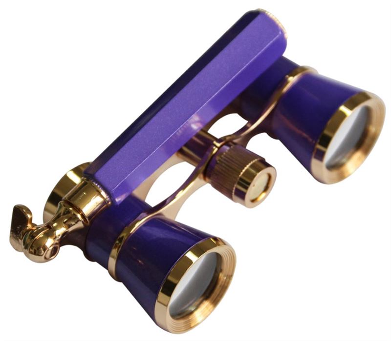 Levenhuk Dalekohled Broadway 325L Amethyst Lorgnet